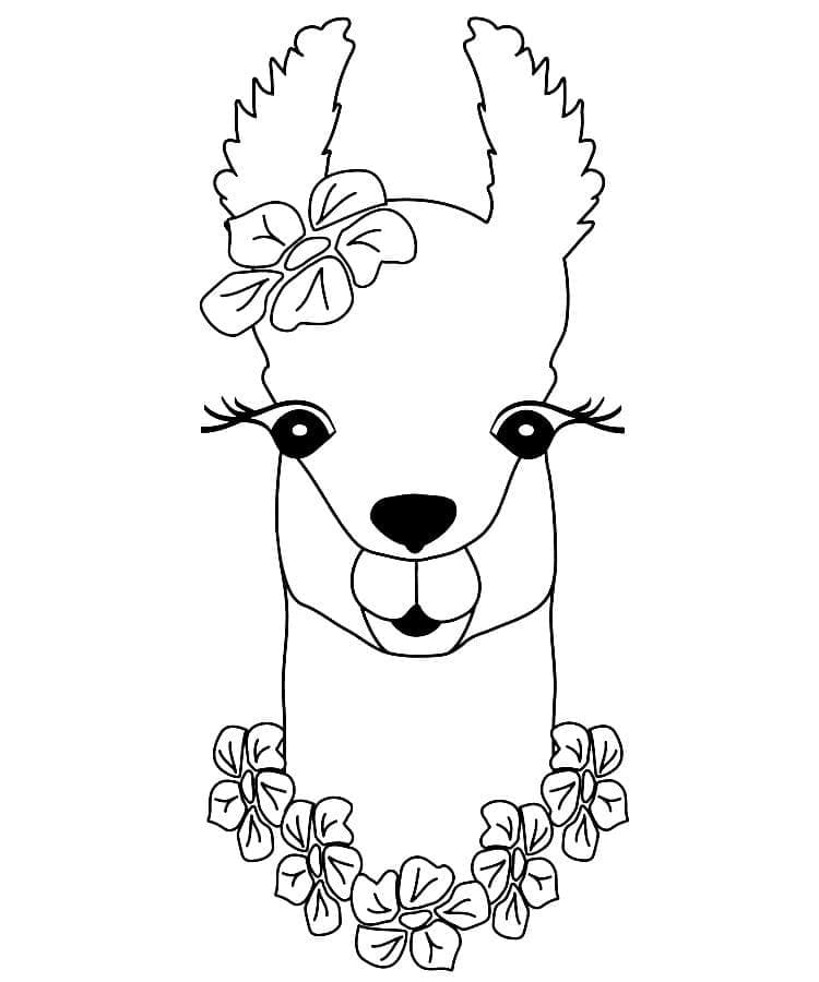 Very Beautiful Llama coloring page