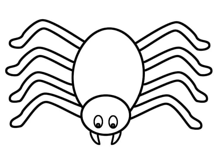 Very Easy Spider coloring page - Download, Print or Color Online for Free