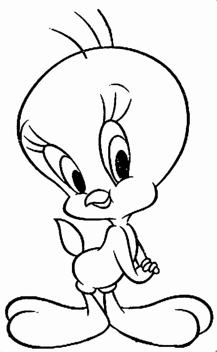 Adorable Tweety Bird Coloring Page Download Print Or Color Online For Free 2312
