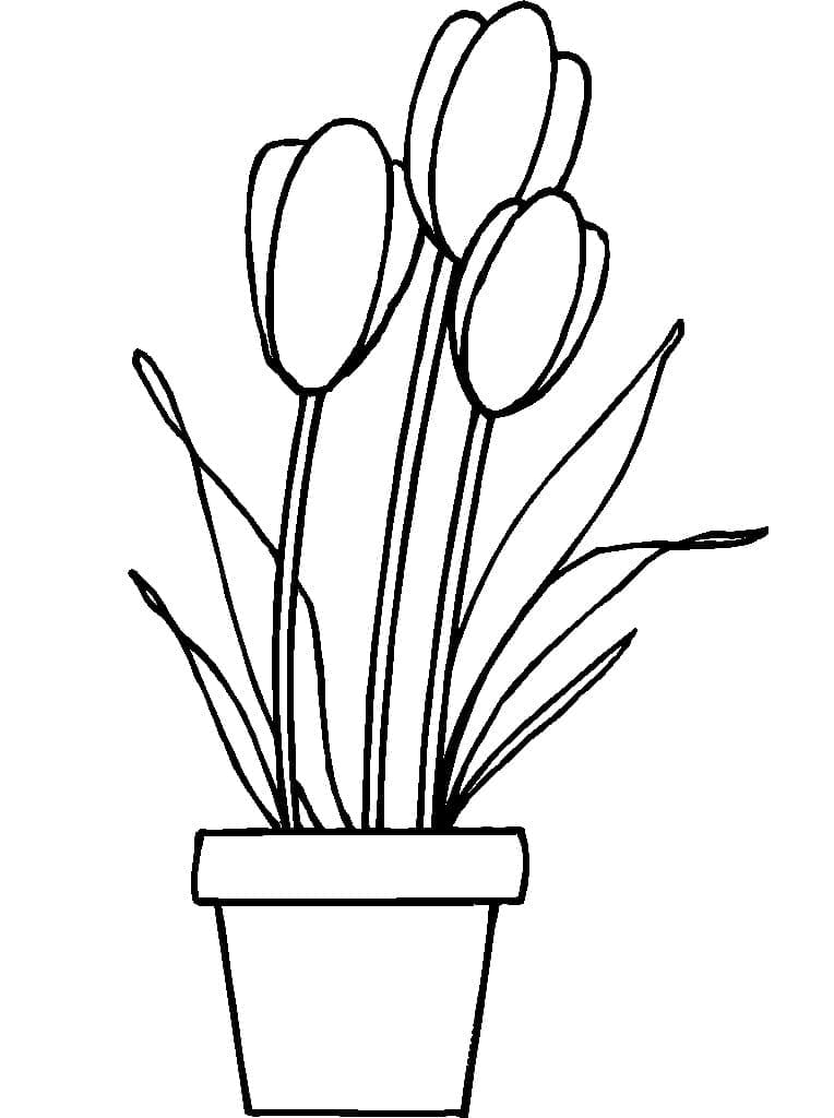 Beautiful Tulips in Flower Pot coloring page