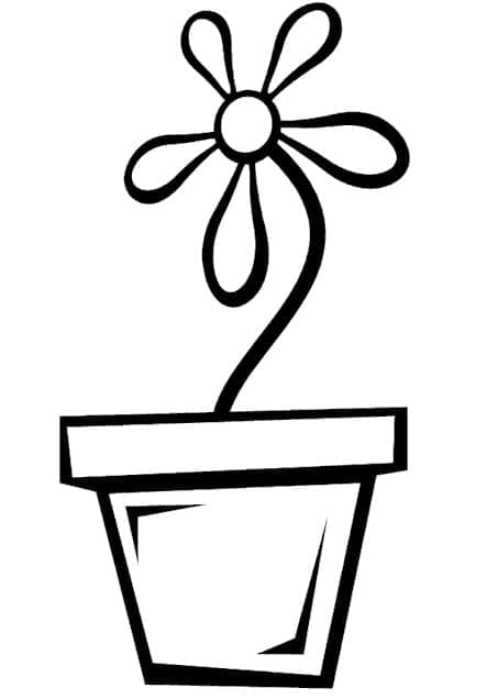 Flower in Flower Pot