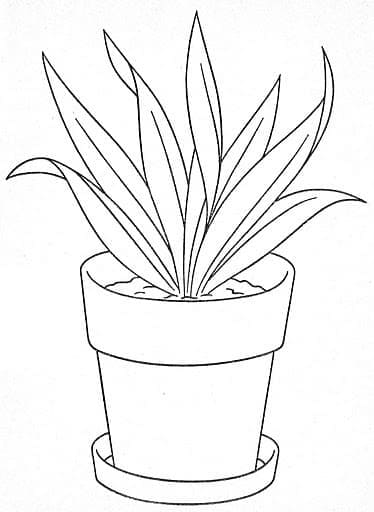 Flower Pot For Free coloring page