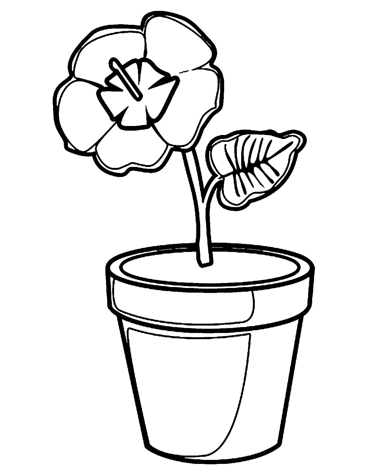 Flower Pot Printable For Kids coloring page - Download, Print or Color ...