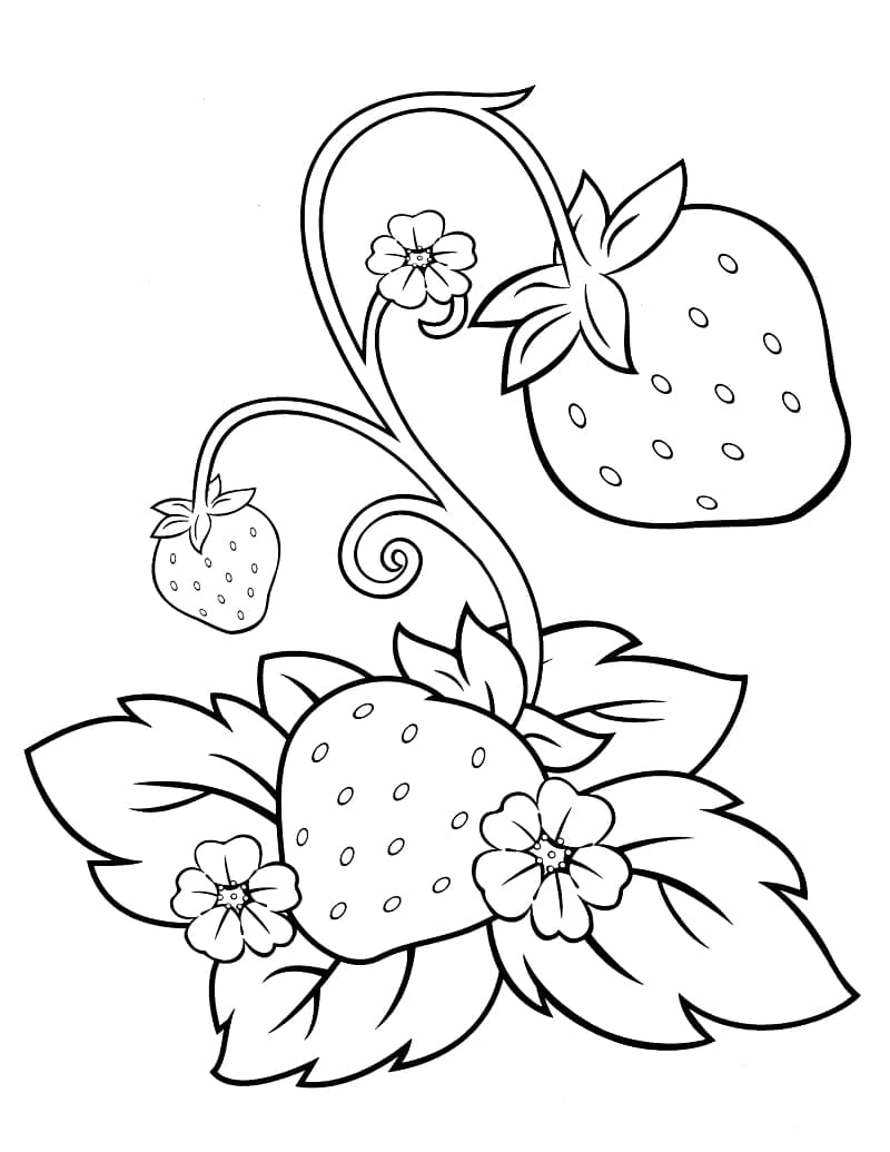 Free Printable Strawberries