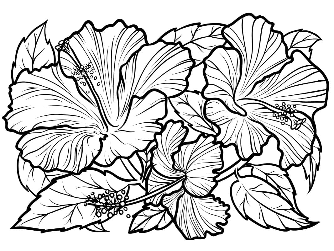 Hibiscus Printable For Kids coloring page