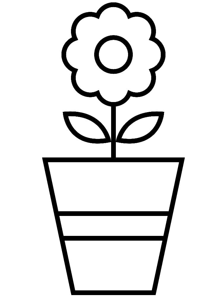 Printable Easy Flower Pot coloring page Download Print or Color