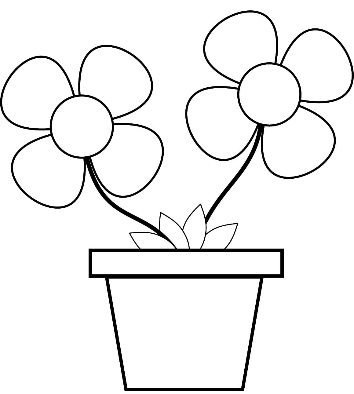 Printable Lovely Flower Pot coloring page - Download, Print or Color ...