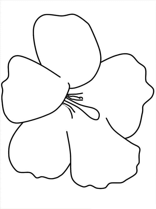 Simple Hibiscus coloring page