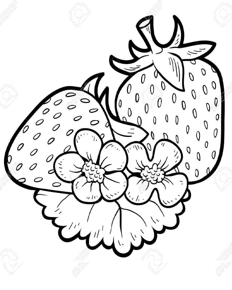 Strawberries and Flowers coloring page