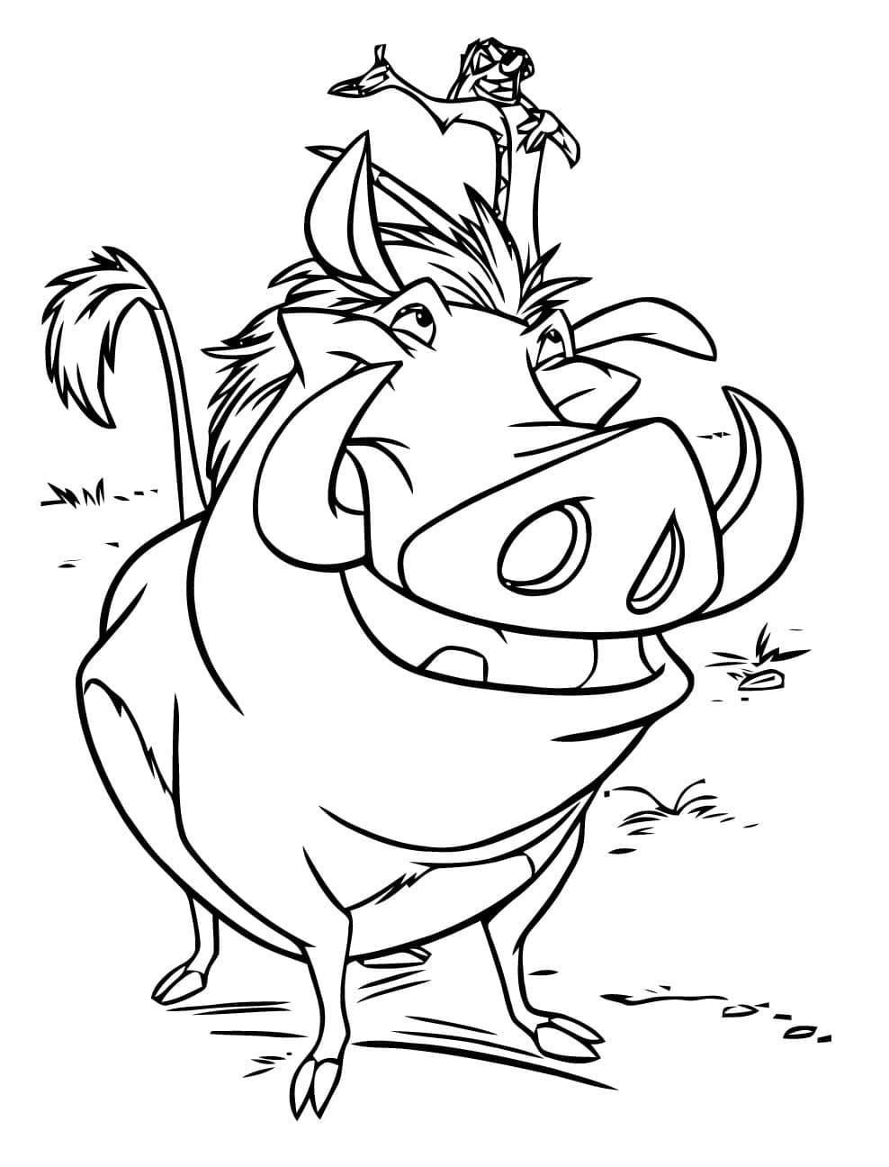 Timon on Pumbaa from The Lion King