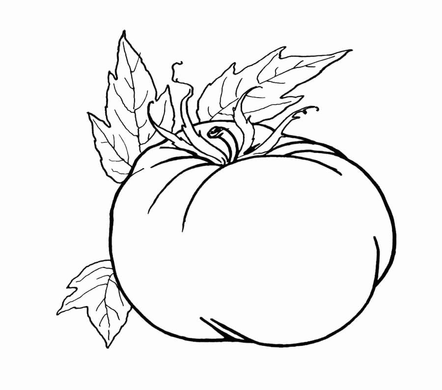 Tomato Free Printable coloring page