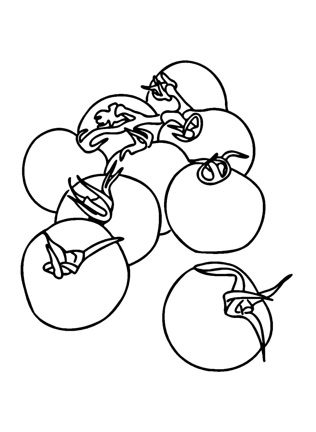 Tomato For Free Coloring Page Download Print Or Color Online For Free