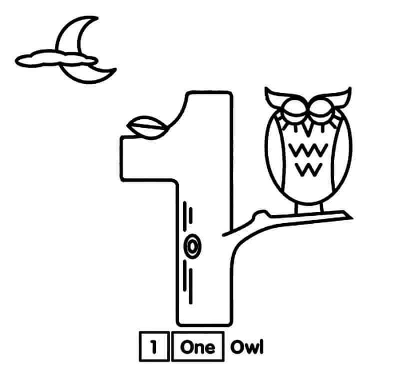 Number 1 with an owl