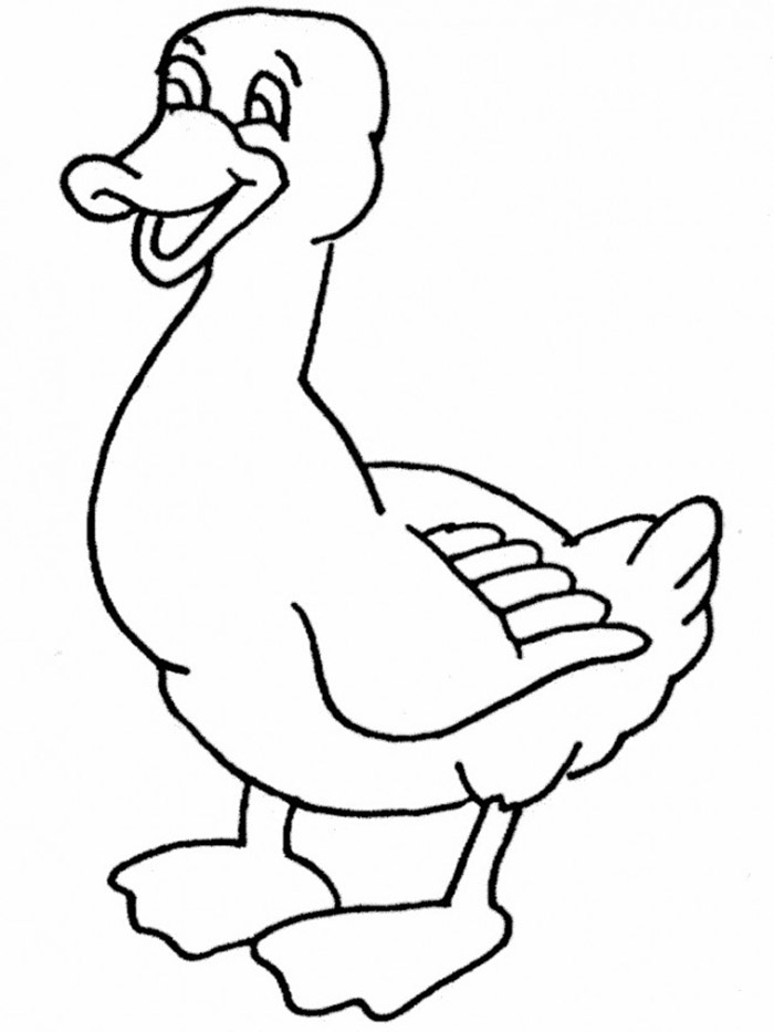 A Funny and Happy Duck