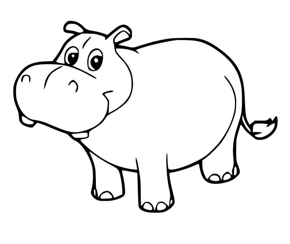 A Happy Hippo coloring page