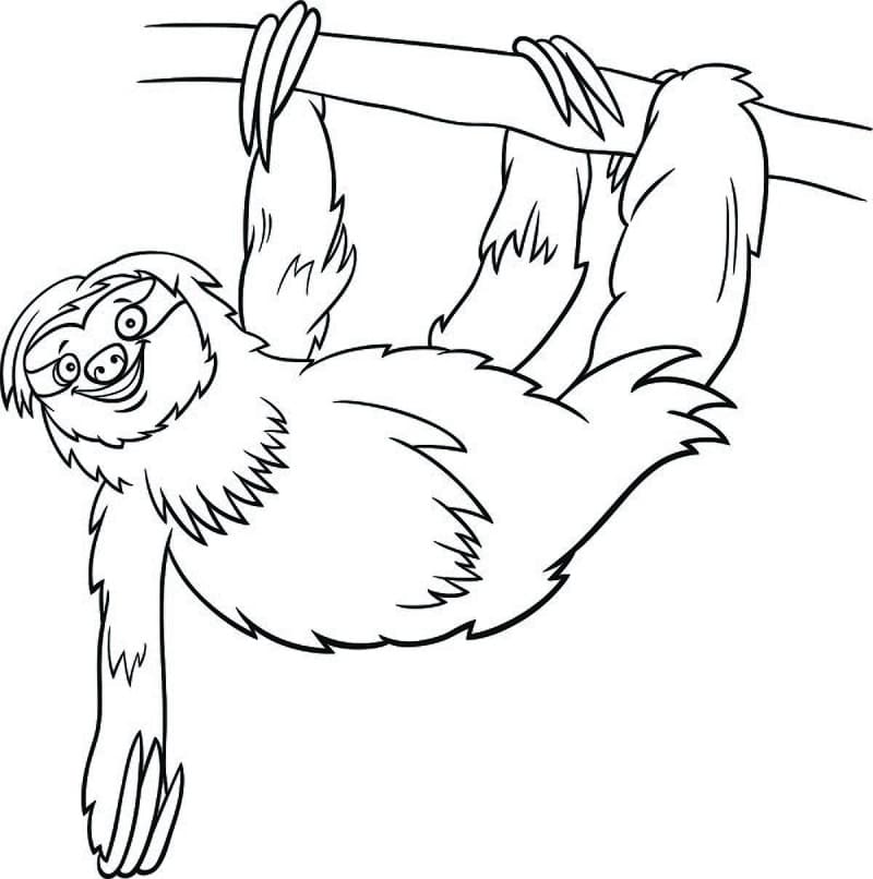 A Happy Sloth