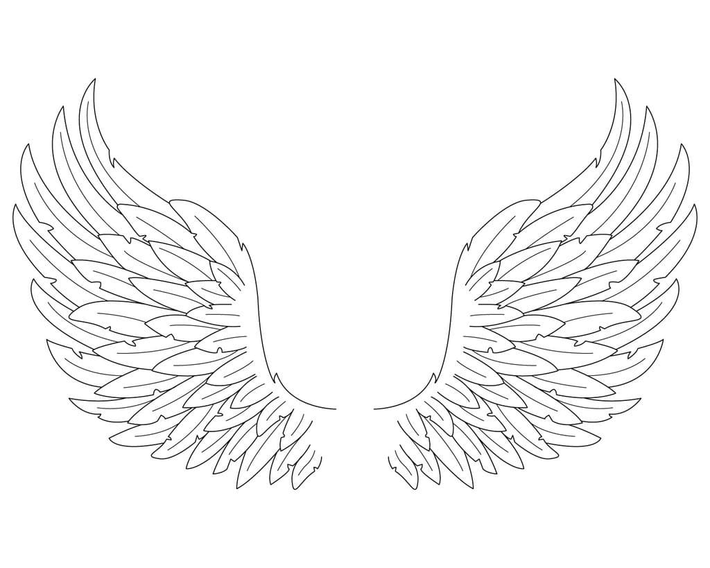 Amazing Angel Wings