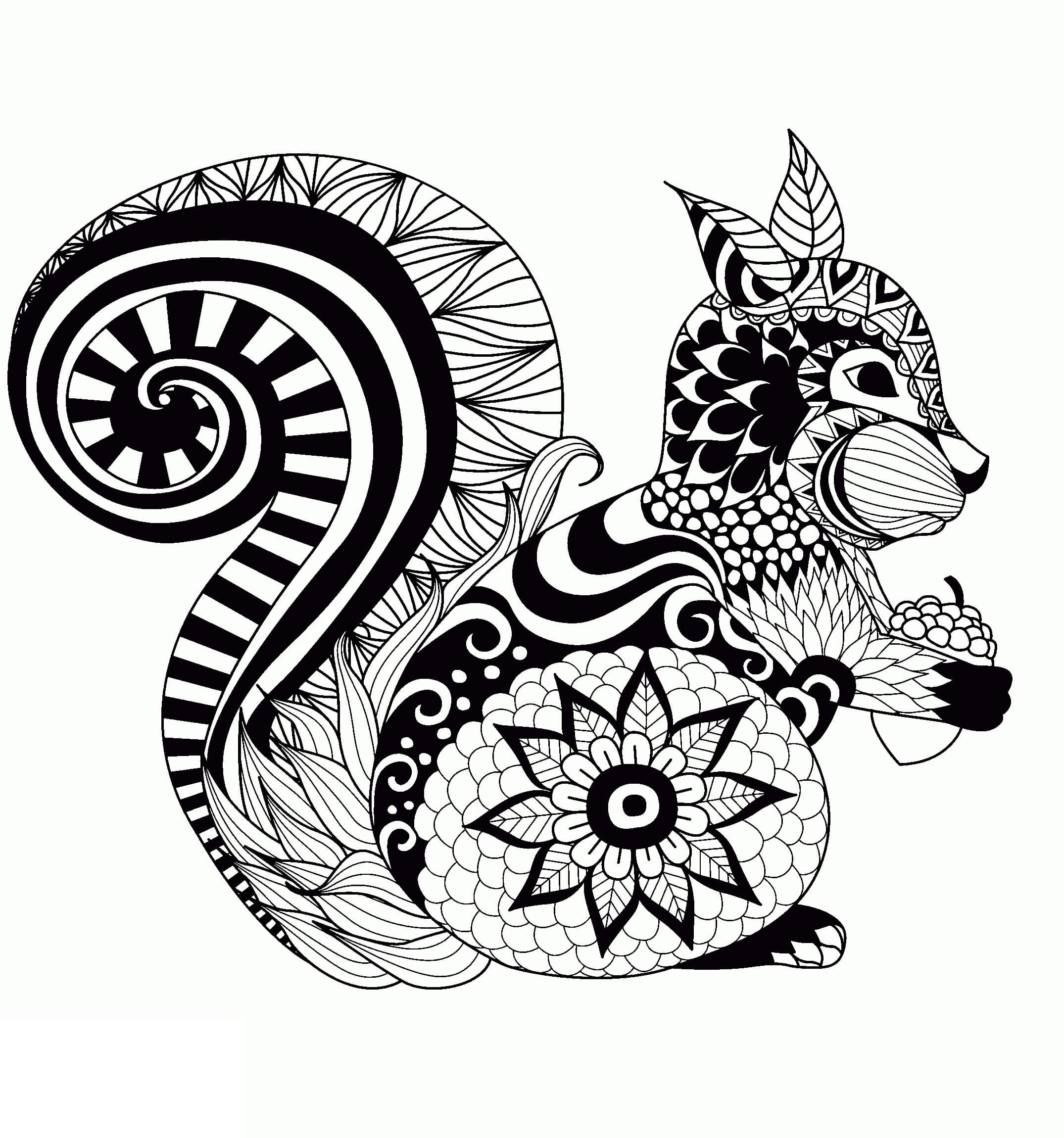 Basic Squirrel Holding Acron Mandala