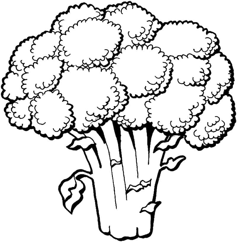 Broccoli For Kids coloring page