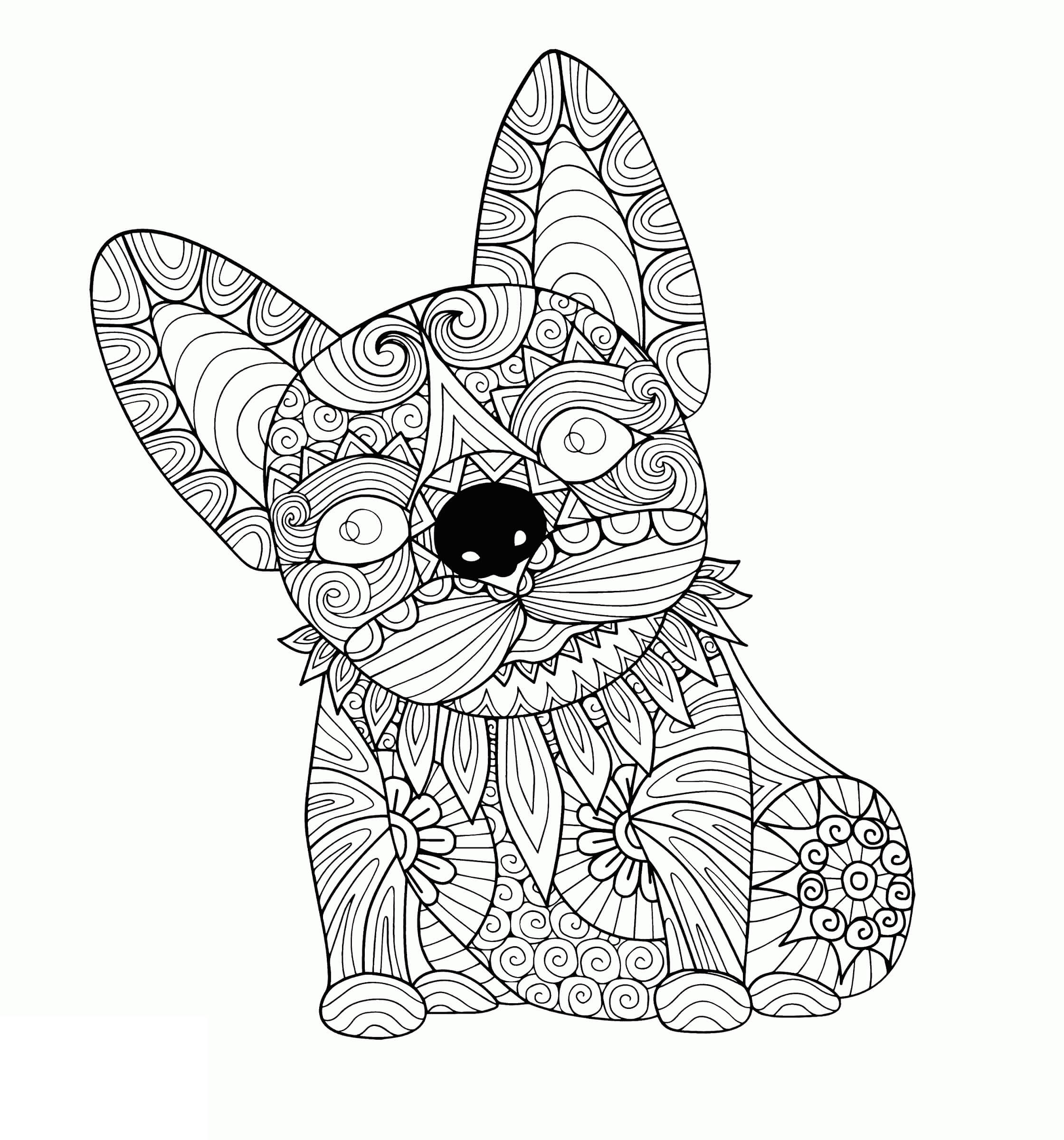 Bull Dog Mandala coloring page