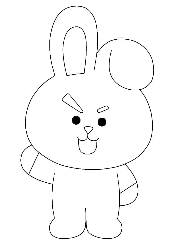 Cool Cooky