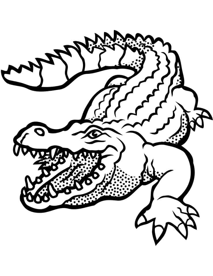 Crocodilo – Sheet 3 coloring page