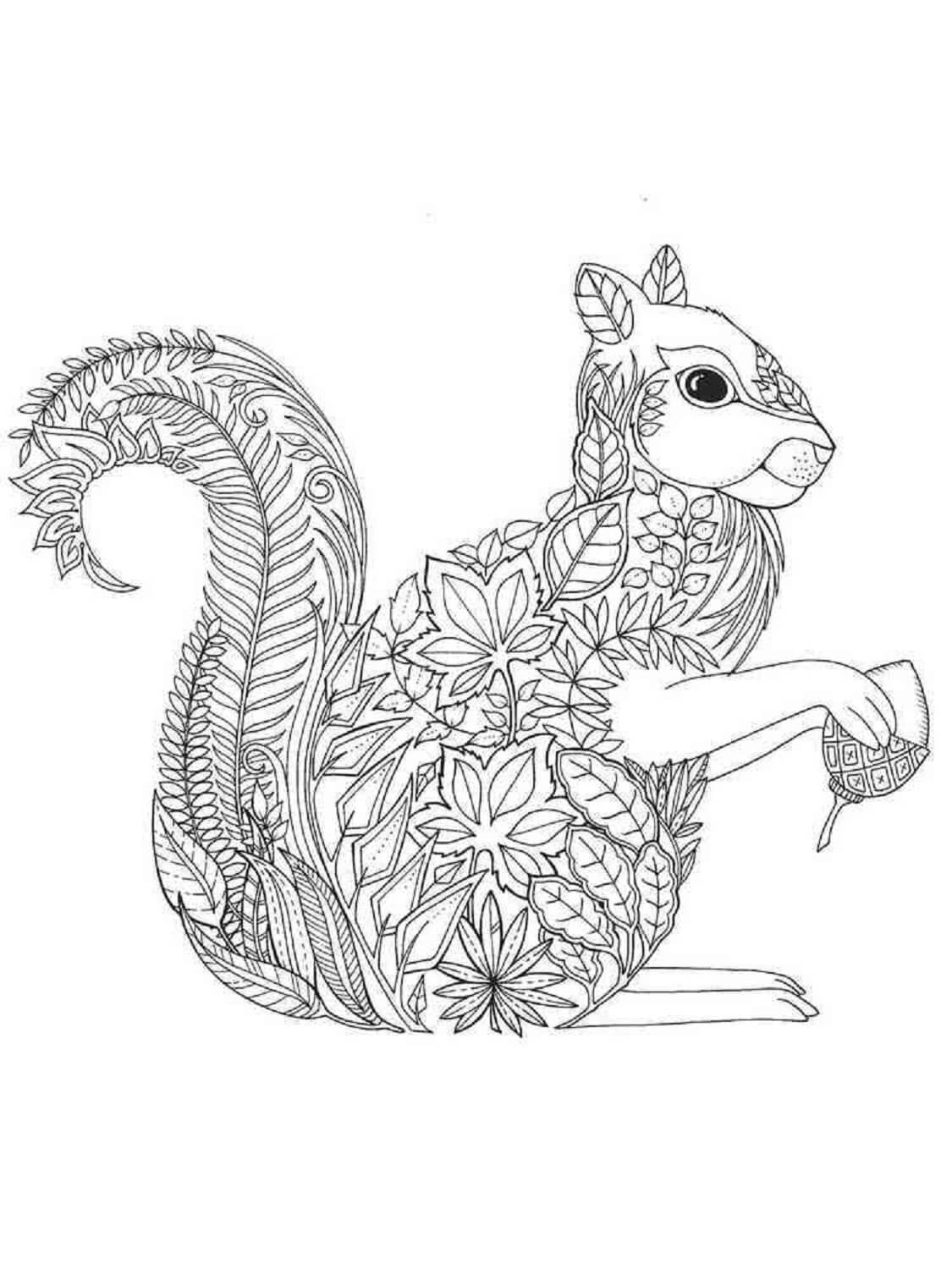 Cute Squirrel Holding Acorn Mandala coloring page