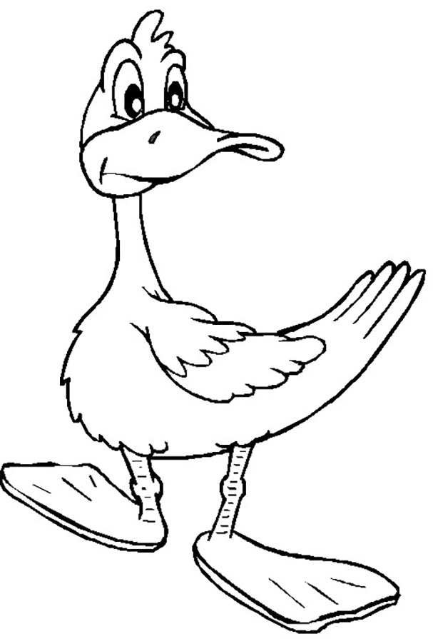 Duck - sheet 15