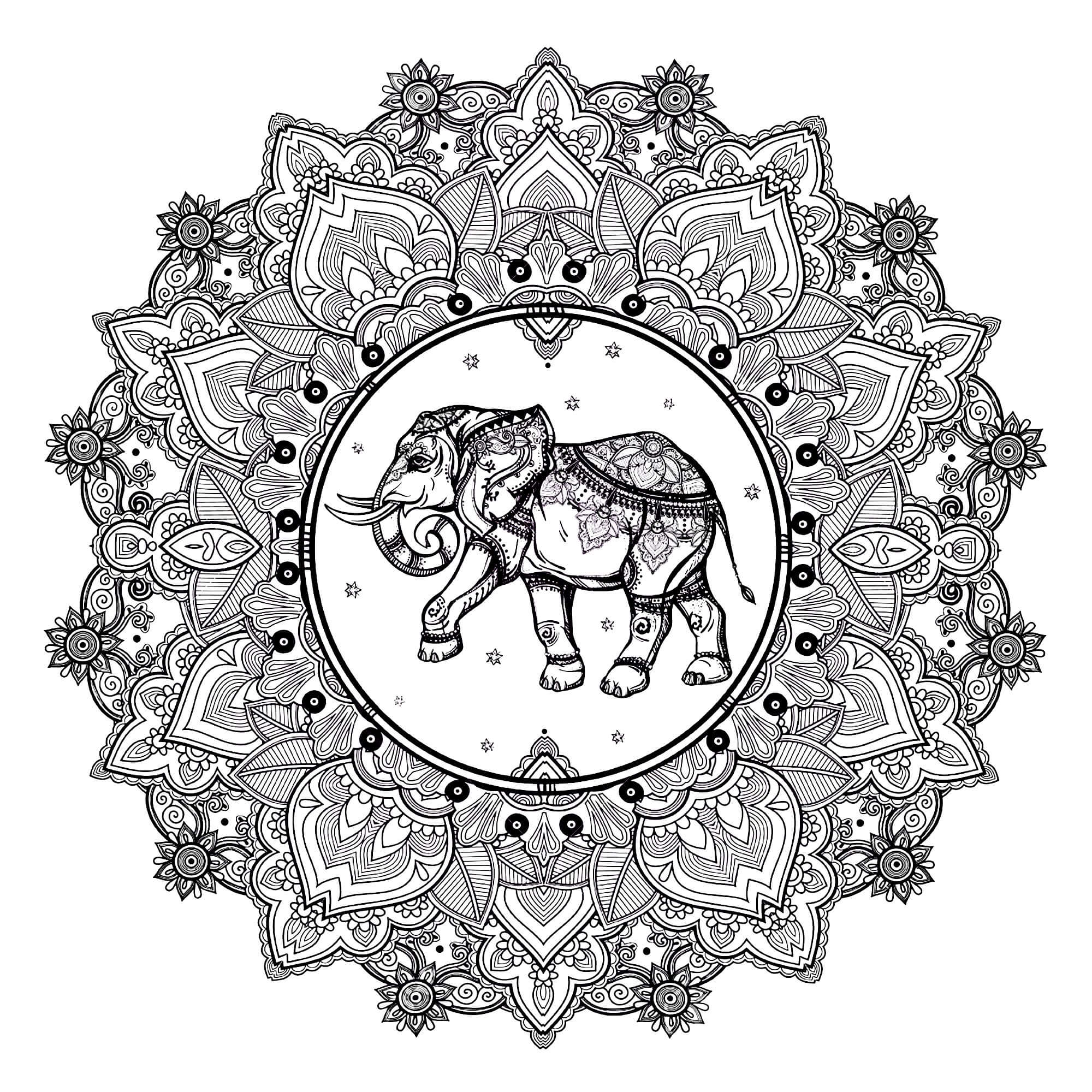 Elephant in Flower Mandala coloring page