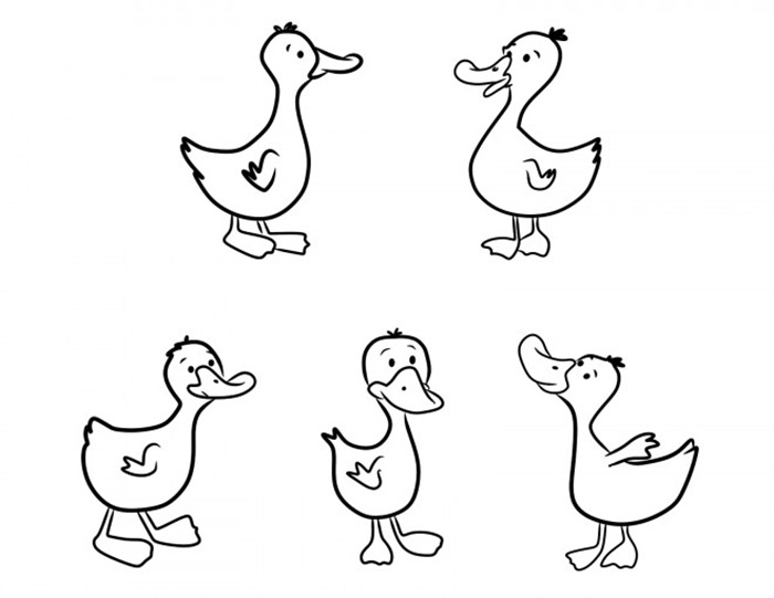 Five Ducks