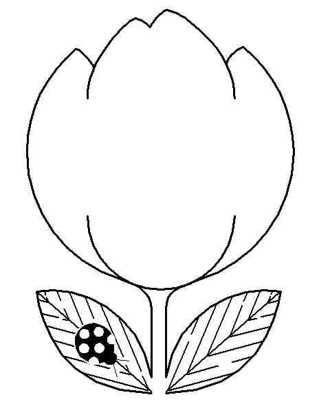 Free Printable Tulip coloring page