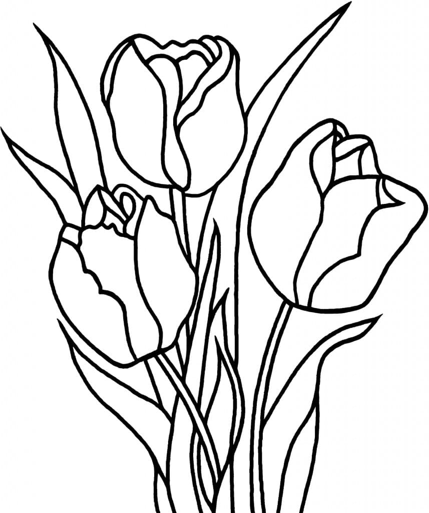 Free Printable Tulips