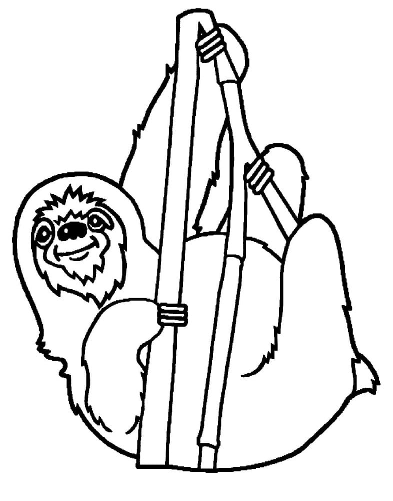 Free Sloth coloring page