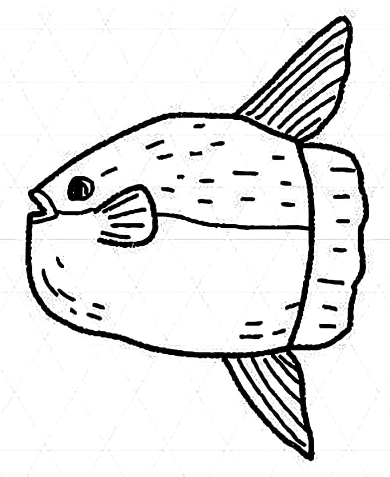 Free Sunfish coloring page