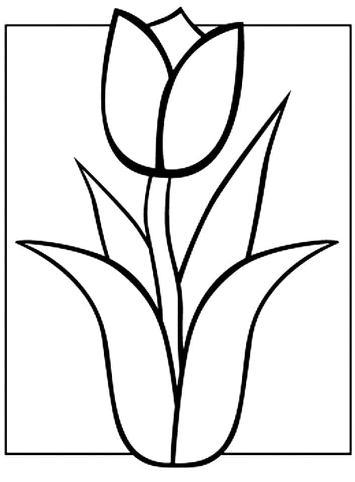 Free Tulip coloring page - Download, Print or Color Online for Free