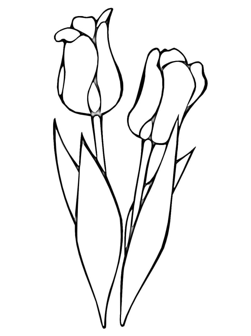 Free Tulips coloring page