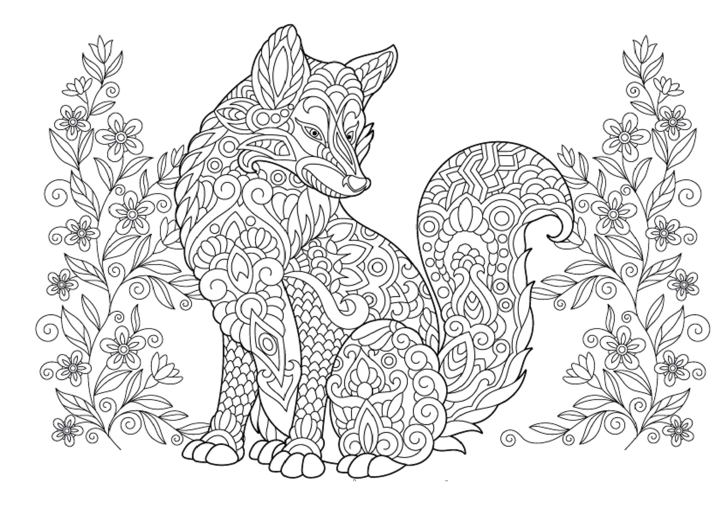 Great Fox Mandala