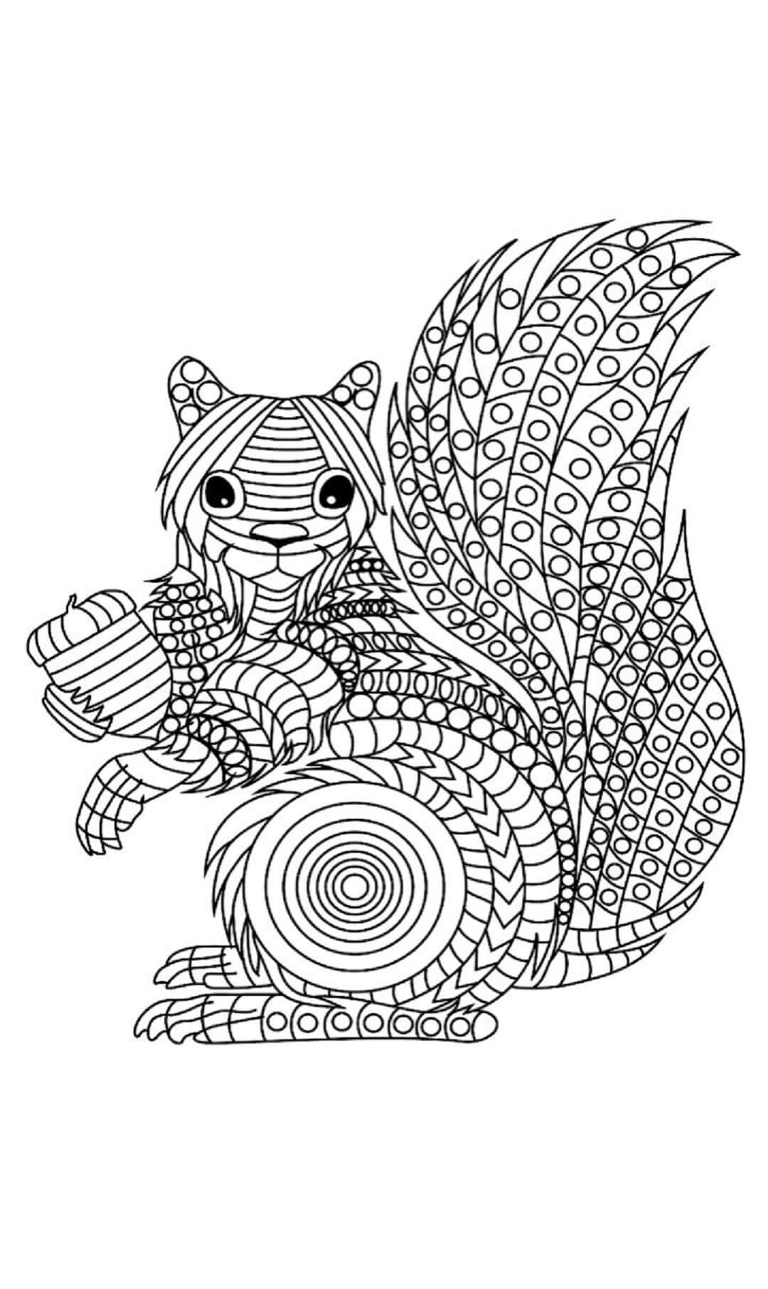 Great Squirrel Mandala coloring page