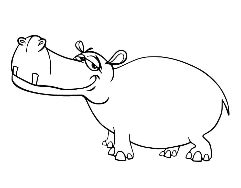 Humorous Hippo