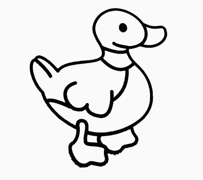 Image of a duck