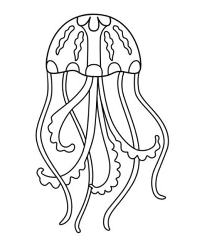 Jellyfish Printable coloring page