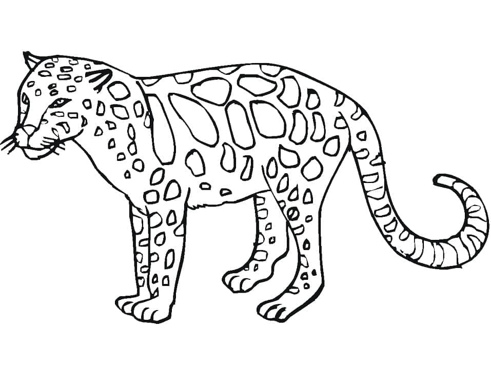 Leopard For Kids coloring page