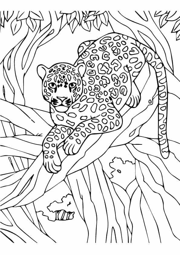 Leopard in the Forest coloring page - Download, Print or Color Online ...