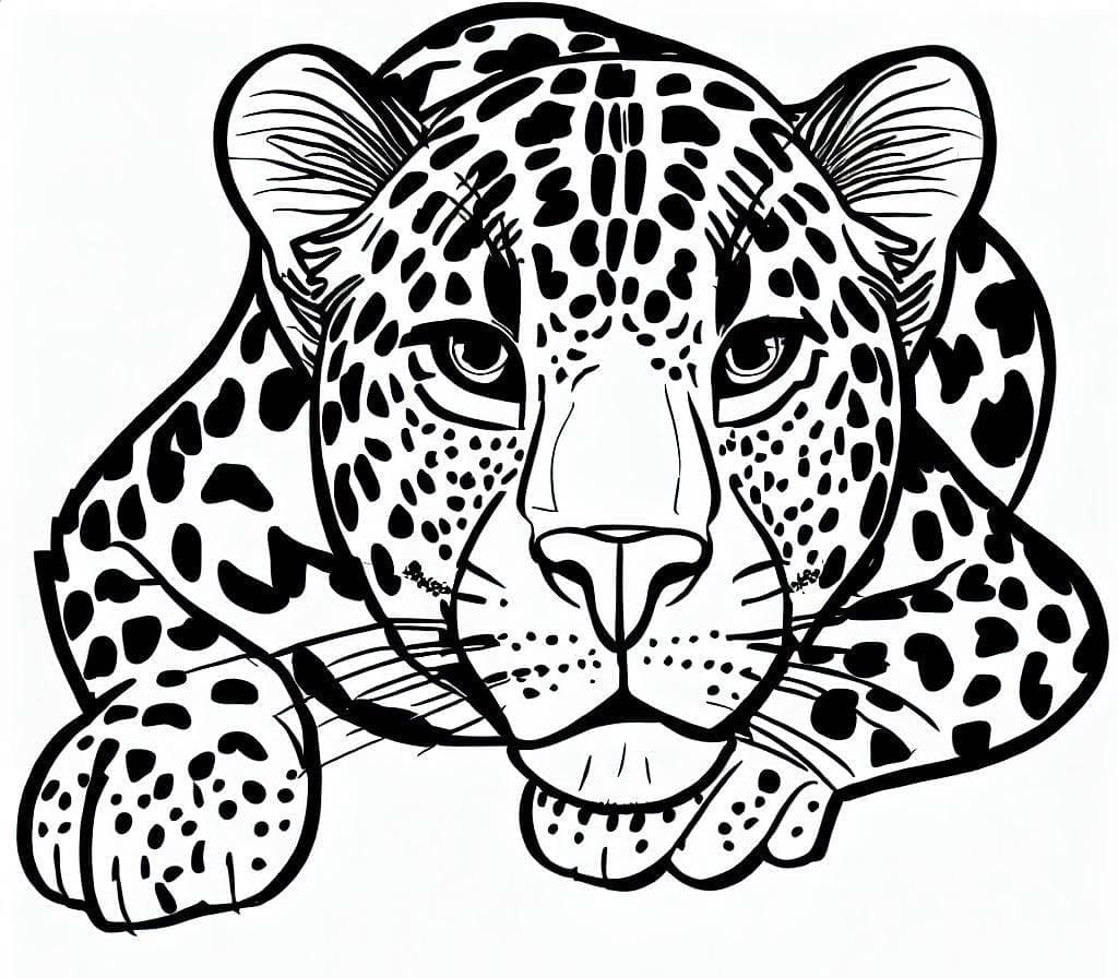 Leopard - Sheet 1 coloring page - Download, Print or Color Online for Free