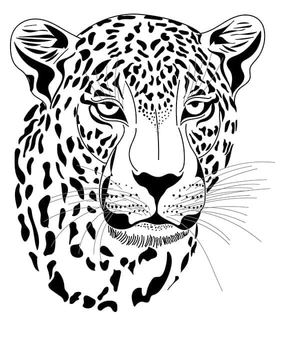 Leopard's Face coloring page - Download, Print or Color Online for Free
