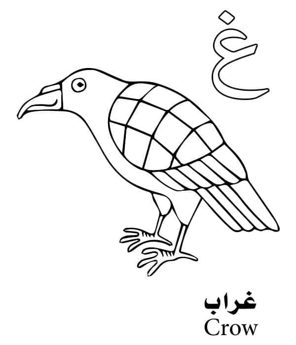 Letter غ is for Crow - Arabic Alphabet