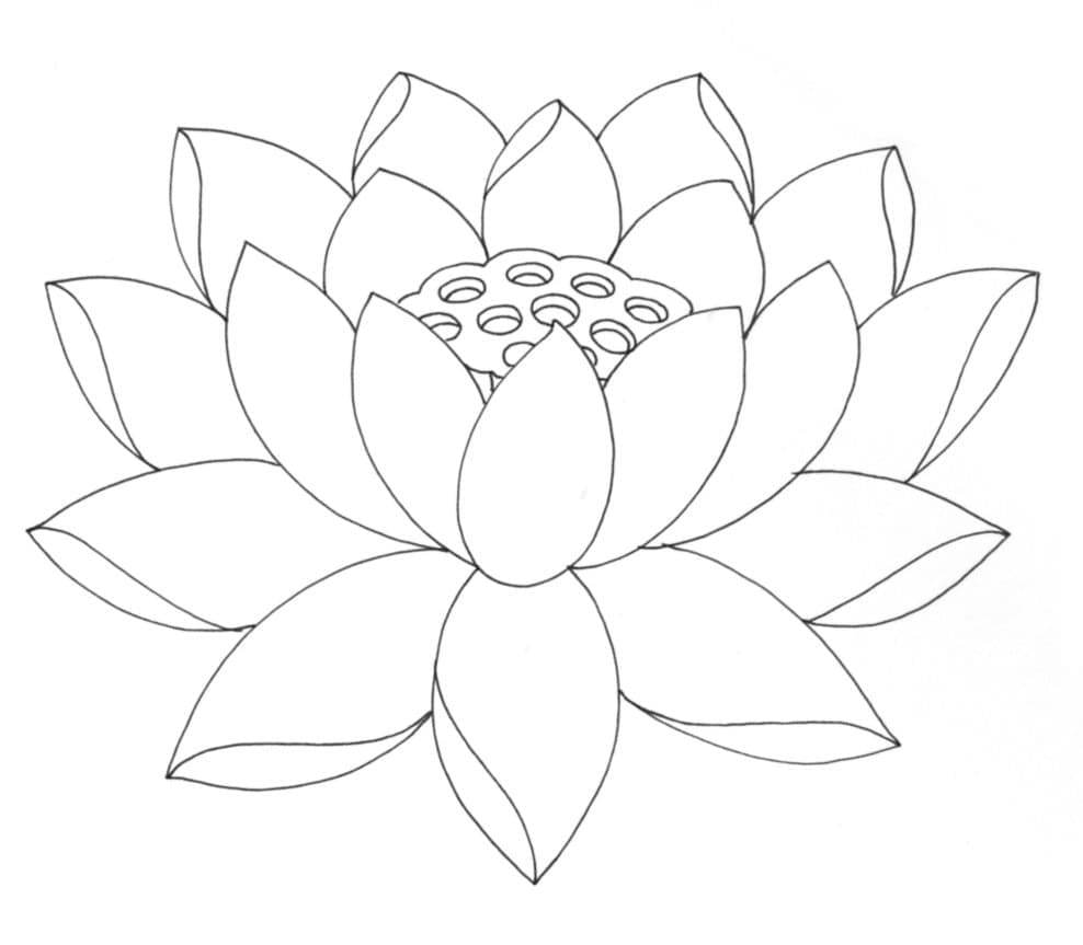 Lotus Blossom coloring page