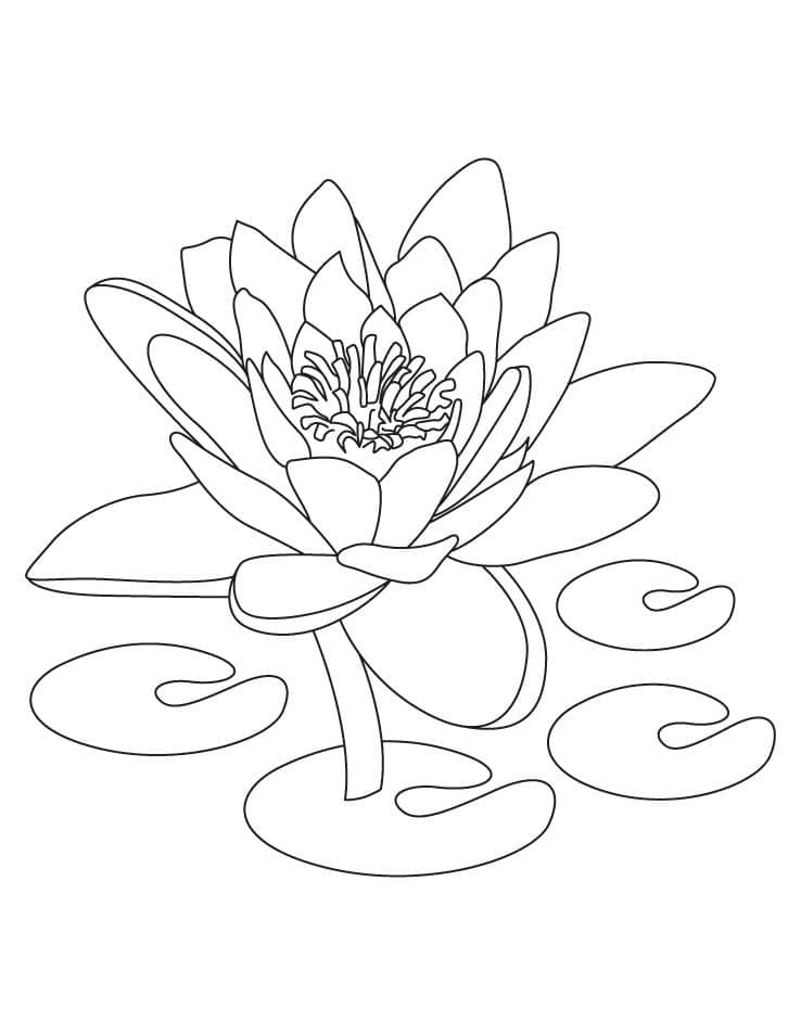 Lotus For Kids coloring page