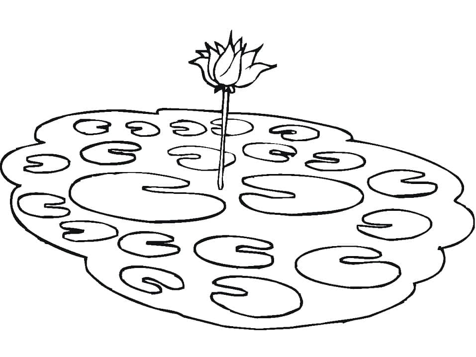 Lotus in a Pond coloring page