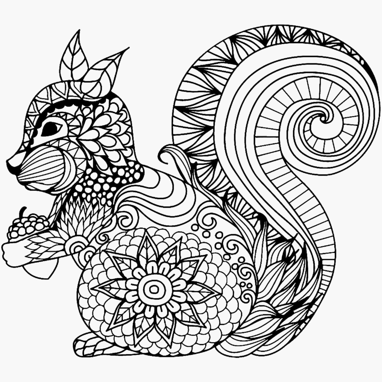 Normal Squirrel Mandala coloring page